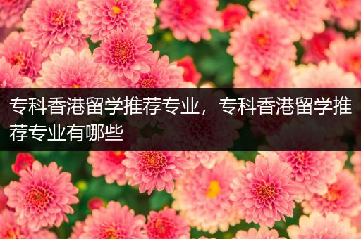 专科香港留学推荐专业，专科香港留学推荐专业有哪些