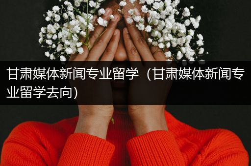 甘肃媒体新闻专业留学（甘肃媒体新闻专业留学去向）