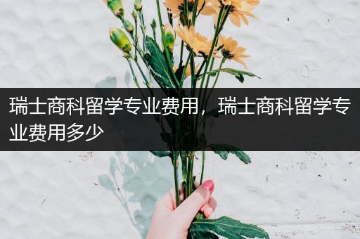 瑞士商科留学专业费用，瑞士商科留学专业费用多少