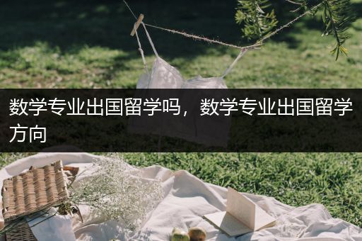 数学专业出国留学吗，数学专业出国留学方向