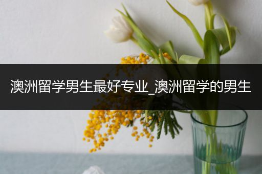 澳洲留学男生最好专业_澳洲留学的男生