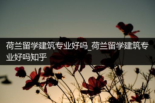 荷兰留学建筑专业好吗_荷兰留学建筑专业好吗知乎