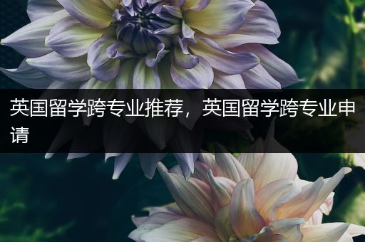 英国留学跨专业推荐，英国留学跨专业申请