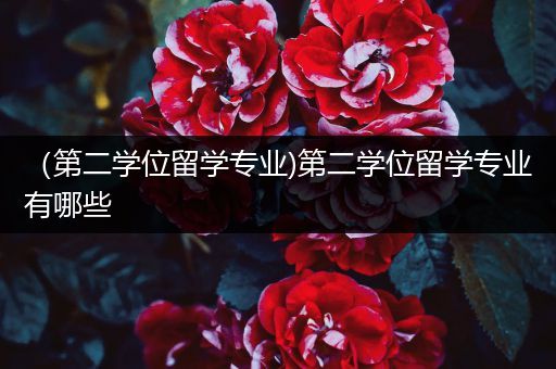 （第二学位留学专业)第二学位留学专业有哪些