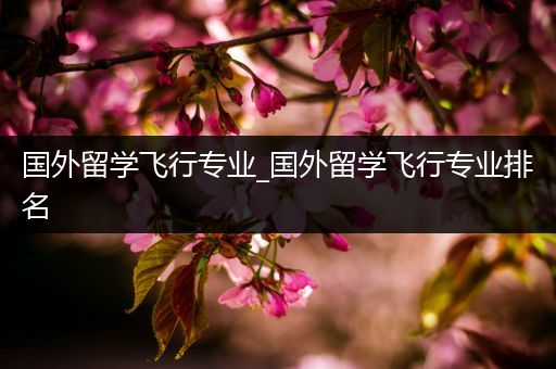 国外留学飞行专业_国外留学飞行专业排名