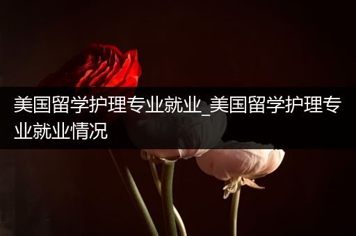 美国留学护理专业就业_美国留学护理专业就业情况