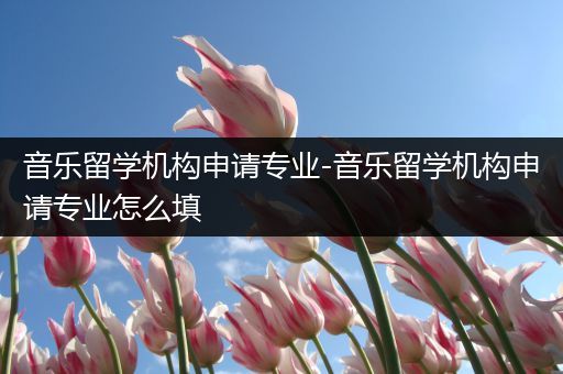 音乐留学机构申请专业-音乐留学机构申请专业怎么填