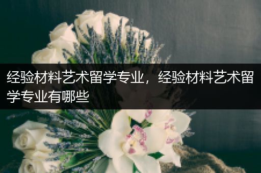 经验材料艺术留学专业，经验材料艺术留学专业有哪些