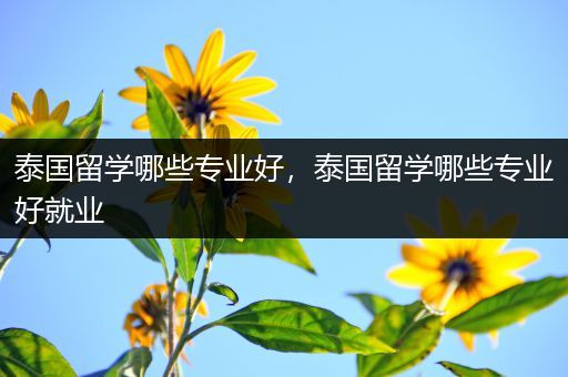 泰国留学哪些专业好，泰国留学哪些专业好就业