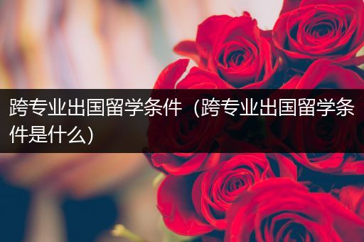 跨专业出国留学条件（跨专业出国留学条件是什么）
