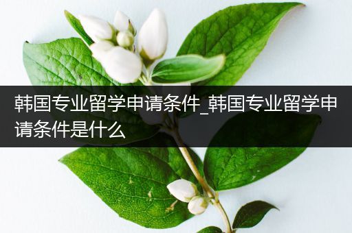 韩国专业留学申请条件_韩国专业留学申请条件是什么