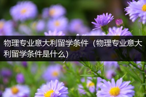 物理专业意大利留学条件（物理专业意大利留学条件是什么）
