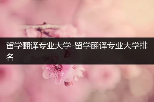留学翻译专业大学-留学翻译专业大学排名