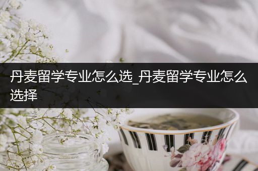 丹麦留学专业怎么选_丹麦留学专业怎么选择