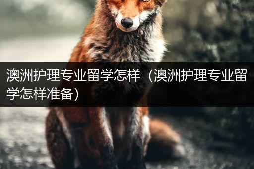 澳洲护理专业留学怎样（澳洲护理专业留学怎样准备）