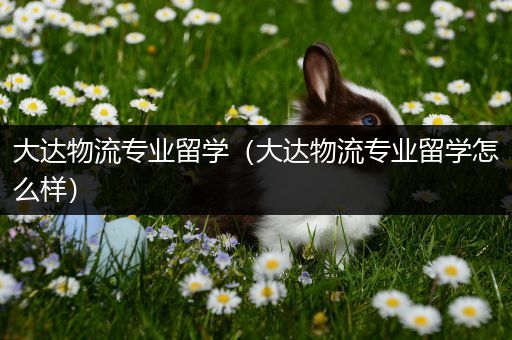 大达物流专业留学（大达物流专业留学怎么样）