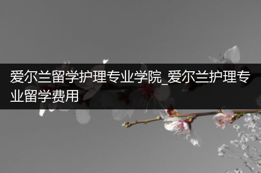 爱尔兰留学护理专业学院_爱尔兰护理专业留学费用