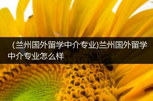 （兰州国外留学中介专业)兰州国外留学中介专业怎么样