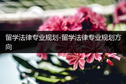 留学法律专业规划-留学法律专业规划方向