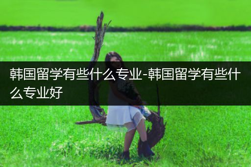 韩国留学有些什么专业-韩国留学有些什么专业好