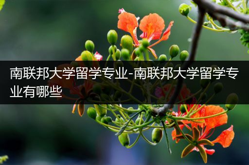南联邦大学留学专业-南联邦大学留学专业有哪些