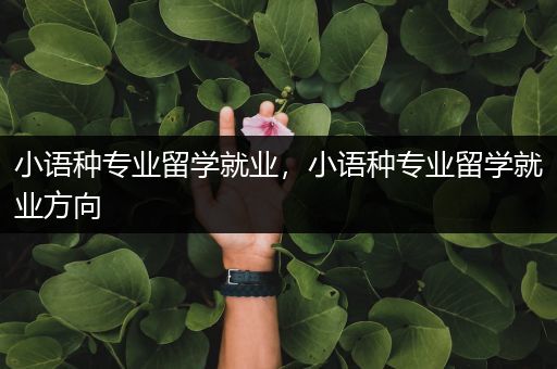 小语种专业留学就业，小语种专业留学就业方向