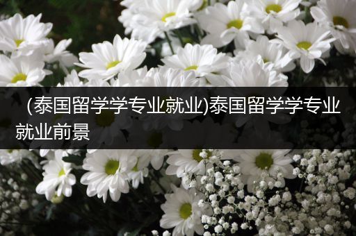 （泰国留学学专业就业)泰国留学学专业就业前景