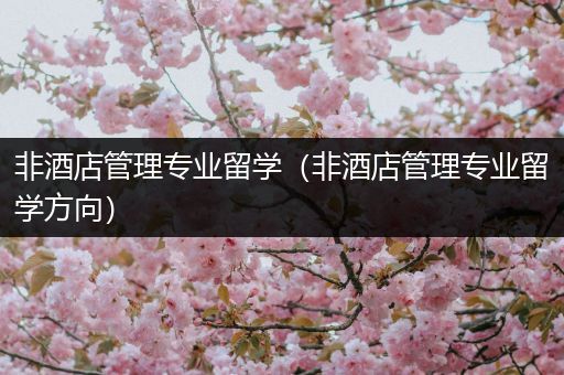 非酒店管理专业留学（非酒店管理专业留学方向）