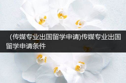 （传媒专业出国留学申请)传媒专业出国留学申请条件