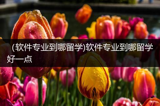 （软件专业到哪留学)软件专业到哪留学好一点