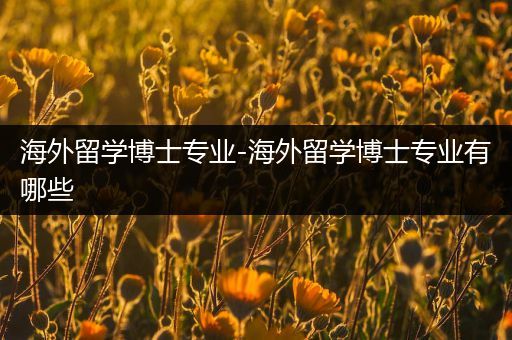 海外留学博士专业-海外留学博士专业有哪些