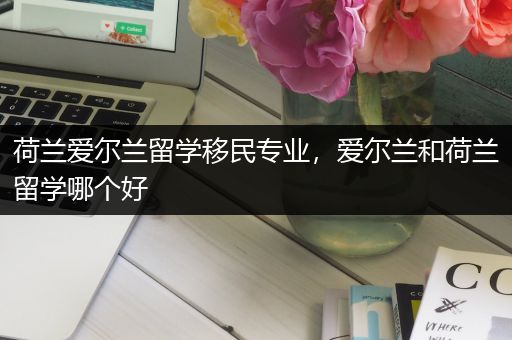 荷兰爱尔兰留学移民专业，爱尔兰和荷兰留学哪个好