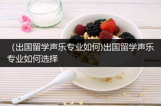 （出国留学声乐专业如何)出国留学声乐专业如何选择