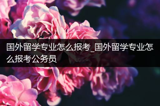 国外留学专业怎么报考_国外留学专业怎么报考公务员