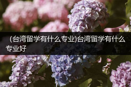 （台湾留学有什么专业)台湾留学有什么专业好