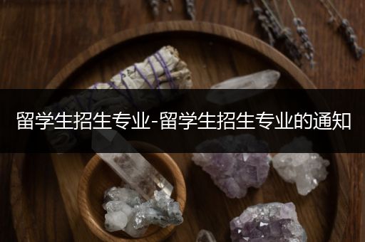 留学生招生专业-留学生招生专业的通知