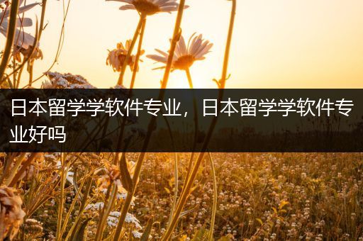 日本留学学软件专业，日本留学学软件专业好吗