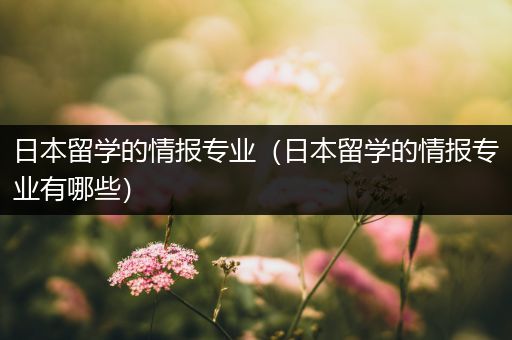 日本留学的情报专业（日本留学的情报专业有哪些）