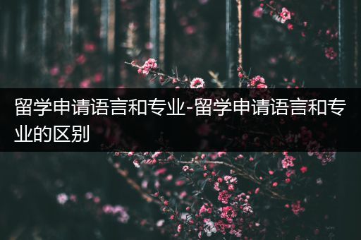 留学申请语言和专业-留学申请语言和专业的区别