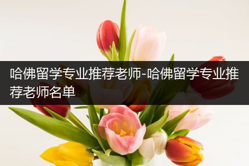 哈佛留学专业推荐老师-哈佛留学专业推荐老师名单