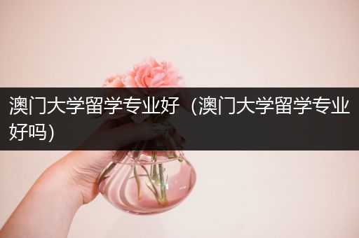 澳门大学留学专业好（澳门大学留学专业好吗）