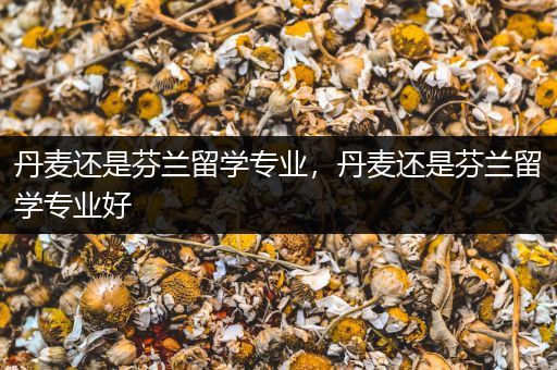 丹麦还是芬兰留学专业，丹麦还是芬兰留学专业好