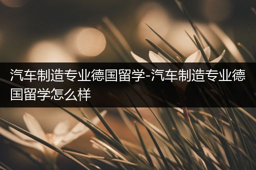 汽车制造专业德国留学-汽车制造专业德国留学怎么样