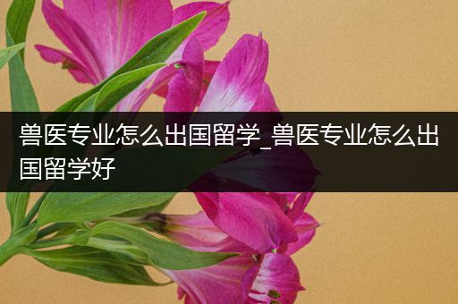兽医专业怎么出国留学_兽医专业怎么出国留学好