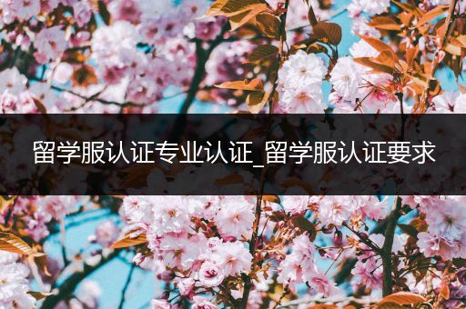 留学服认证专业认证_留学服认证要求