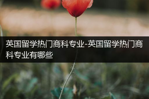 英国留学热门商科专业-英国留学热门商科专业有哪些