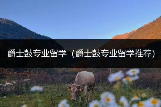 爵士鼓专业留学（爵士鼓专业留学推荐）