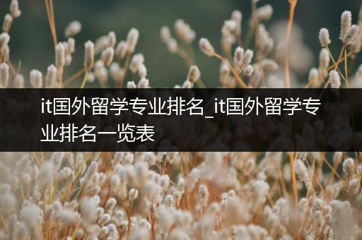 it国外留学专业排名_it国外留学专业排名一览表