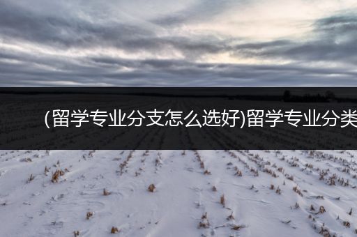 （留学专业分支怎么选好)留学专业分类