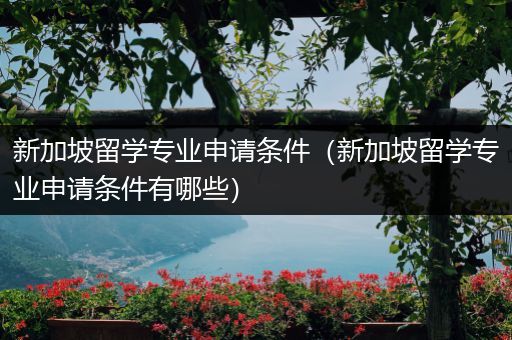 新加坡留学专业申请条件（新加坡留学专业申请条件有哪些）